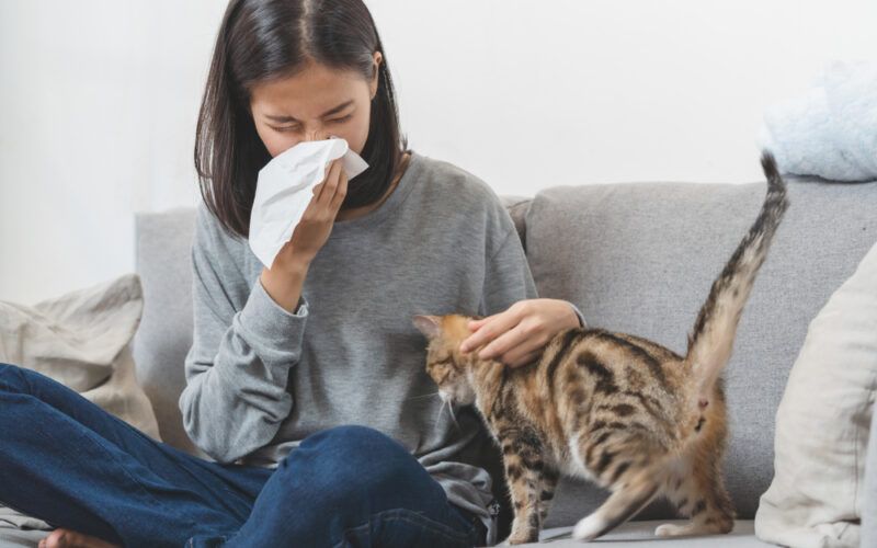 Zvieracie chlpy a alergia